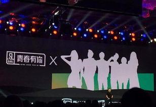 中国宣传片爆料视频大全,视觉盛宴背后的故事与真相  第3张